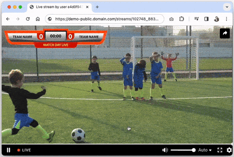 HTML Overlays